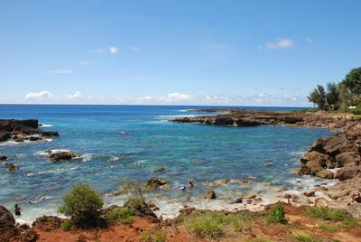 2007_05_30_HAWAII (103) (Large).JPG